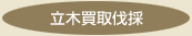 立木買取伐採